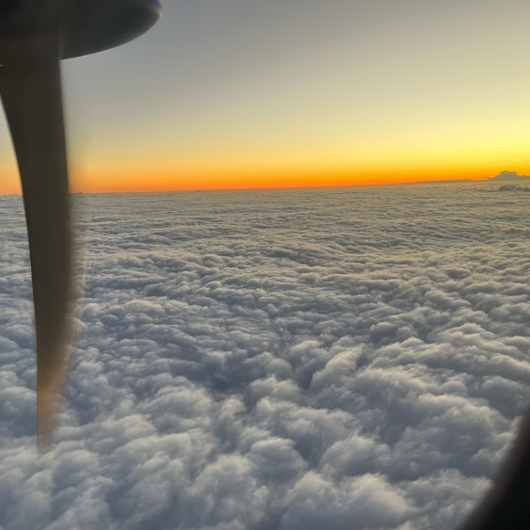 SHARE 💕🛍Posher, 💋Adriana Gault💋 - Picture 6 of 8